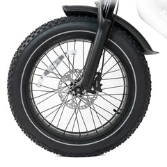 HappyRun G70 2000W Dual Battery Fast Electric Cargo Bike