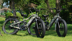 Bee Defender Super Frame Full Suspension Mountain Electric Bike