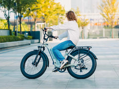Velowave Ranger 3.0 Fat Tire All-Terrain Electric Bike
