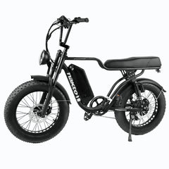 Nakto F2 Electric Bike 750W Motor - Black