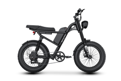 Riding Times Z8 Electric Bike - 750W Fat Tire Moped-Style E-Bike **PRE-ORDER**