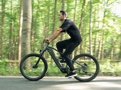 Velowave Forest SM Mountain Electric Bike