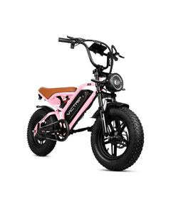 Victrip R6 Off Road E-Bike