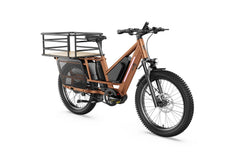 Letrigo Workhorse Electric Bike