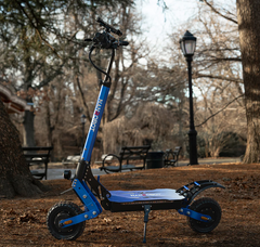 Nanrobot D4+ MAX Electric Scooter