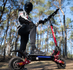 Nanrobot D4+ MAX Electric Scooter
