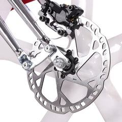 Tracer Raptor Pro DS 800W Stretch Cruiser Ebike