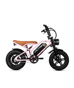 Victrip R6 Off Road E-Bike