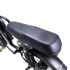 Nakto F2 Electric Bike 750W Motor - Black