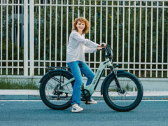 Velowave Ranger 3.0 Fat Tire All-Terrain Electric Bike