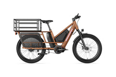 Letrigo Workhorse Electric Bike