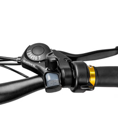 Nakto Cruiser 2 Electric Bike 750W - Black