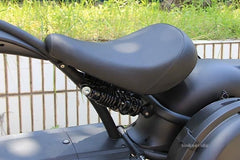 LinksEride M1P Fat Tire Electric Citycoco Scooter