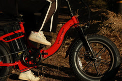 Victrip TITAN S 1000W Long Range E-Bike