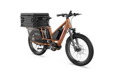 Letrigo Workhorse Electric Bike