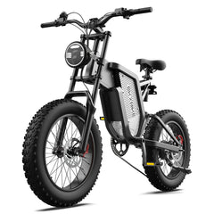 EKX X20 Electric Bike Mountain Moped Ebike 20 Inch Fat Tire 2000W 48V 35AH