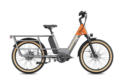 Letrigo Minivan Electric Bike