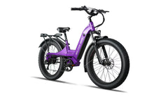 Bee Pathfinder Step-Thru Full Suspension Long Range Electric Bike