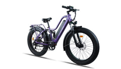 Bee Explorer Soft Tail Long Range Electric Bike