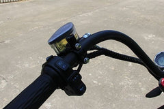 LinksEride M1P Fat Tire Electric Citycoco Scooter