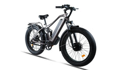 Bee Adventurer X2 Soft Tail Dual Motors Electric Bike