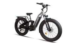 Bee Defender Step-Thru Full Suspension Step-Thru Mountain Electric Bike