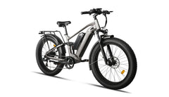 Bee Voyager Dual Batteries Soft Tail Electric Bike