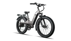 Bee Pathfinder Step-Thru Full Suspension Long Range Electric Bike