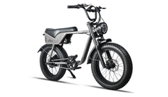 Bee Tracer Racing Adventurer Electric Motorbike