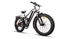 Bee Adventurer Soft Tail Long Range Electric Bike