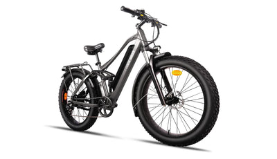 Bee Adventurer Soft Tail Long Range Electric Bike