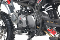 Tao Motor DB20 Dirt Bike - 110cc