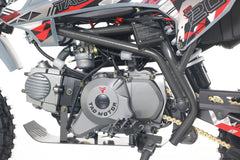 Tao Motor DB20 Dirt Bike - 110cc