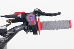 Tao Motor DB20 Dirt Bike - 110cc