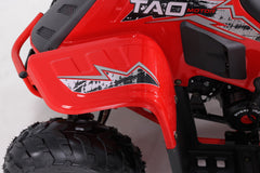 Tao Motor Rock 110 Youth ATV