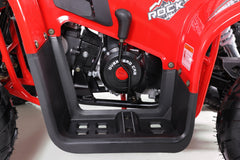 Tao Motor Rock 110 Youth ATV