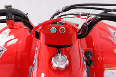 Tao Motor Rock 110 Youth ATV