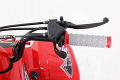 Tao Motor Rock 110 Youth ATV