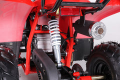 Tao Motor Rock 110 Youth ATV