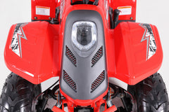 Tao Motor Rock 110 Youth ATV