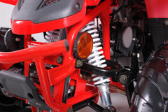 Tao Motor Rock 110 Youth ATV