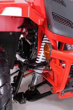 Tao Motor Rock 110 Youth ATV