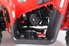 Tao Motor Rock 110 Youth ATV