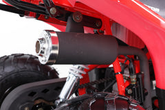 Tao Motor Rock 110 Youth ATV