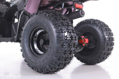 Tao Motor Mudhawk 10 Youth ATV with Remote Shut Off - 120cc