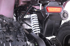 Tao Motor Mudhawk 10 Youth ATV with Remote Shut Off - 120cc
