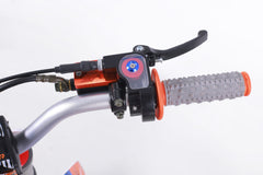 Tao Motor DB27 Dirt Bike - 125cc