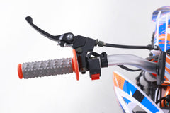 Tao Motor DB27 Dirt Bike - 125cc