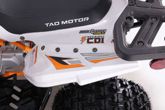 Tao Motor Cheetah Platinum ATC - Youth Sports Model 120cc