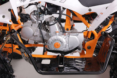 Tao Motor Cheetah Platinum ATC - Youth Sports Model 120cc